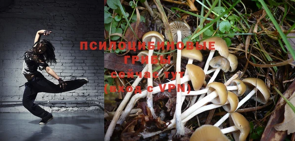 скорость Алзамай