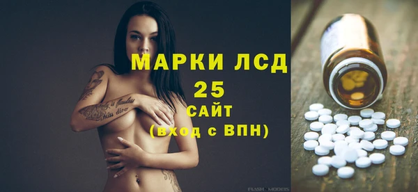 шишки Абаза