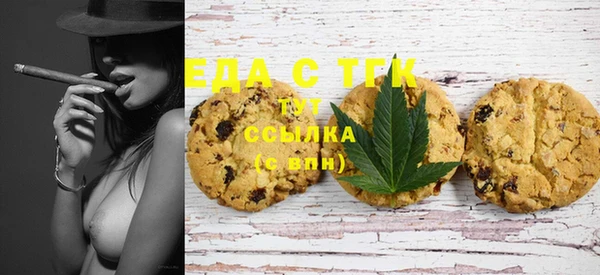 шишки Абаза
