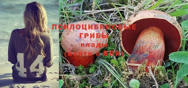шишки Абаза