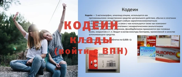 шишки Абаза